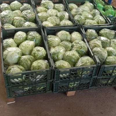 تضمین کیفیت