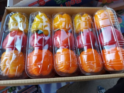 جداسازی و درجه‌بندی محصولات